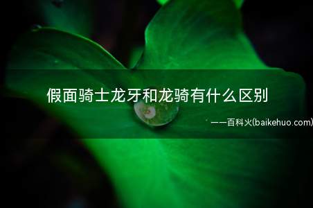 假面骑士龙牙和龙骑有什么区别