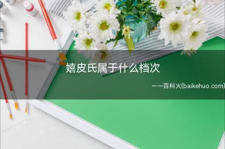 嬉皮氏属于什么档次
