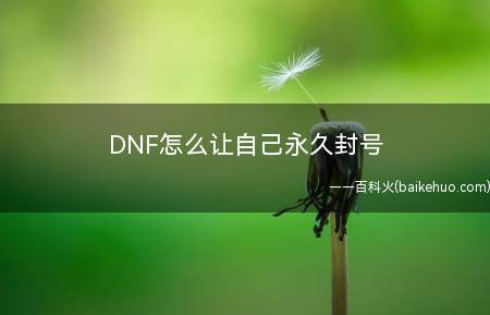 DNF怎么让自己永久封号