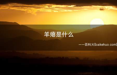 羊瘪是什么