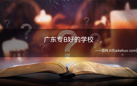 广东专B好的学校
