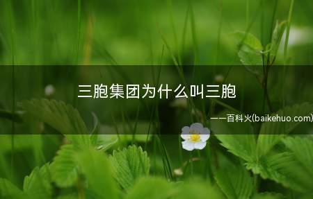 三胞集团为什么叫三胞