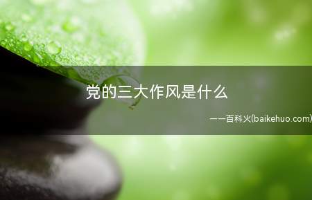 党的三大作风是什么