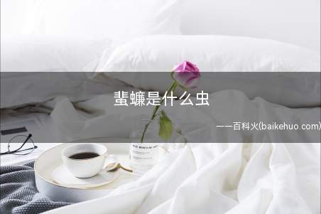 蜚蠊是什么虫