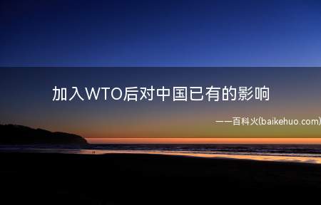 加入WTO后对中国已有的影响