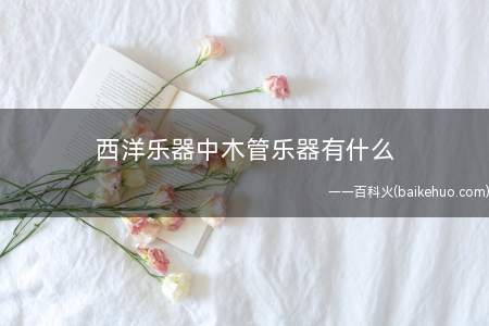 西洋乐器中木管乐器有什么