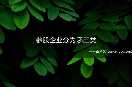 参股企业分为哪三类