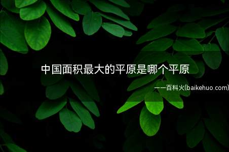 中国面积最大的平原是哪个平原