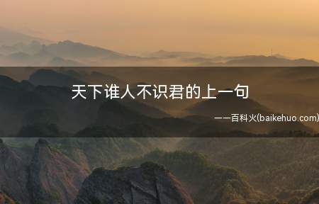 天下谁人不识君的上一句