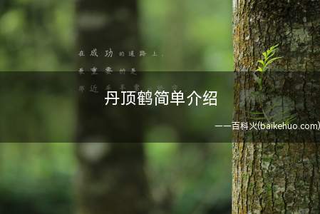 丹顶鹤简单介绍