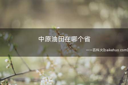 中原油田在哪个省