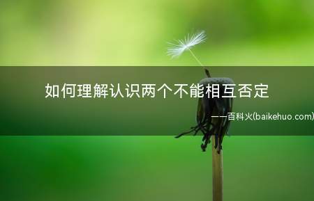 如何理解认识两个不能相互否定