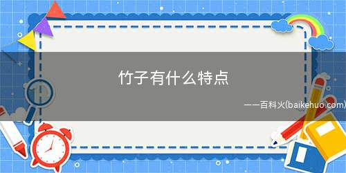 竹子有什么特点