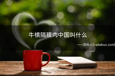 牛横隔膜肉中国叫什么