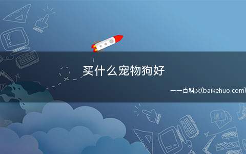 买什么宠物狗好