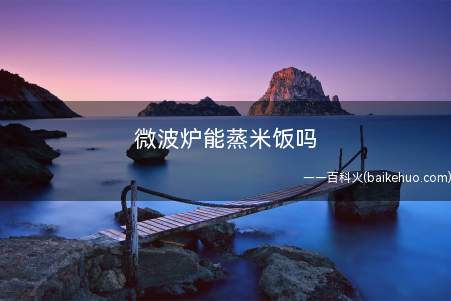 微波炉能蒸米饭吗