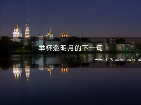 举杯邀明月的下一句