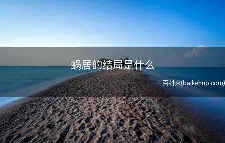 蜗居的结局是什么