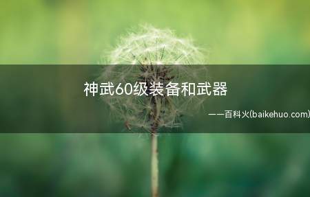 神武60级装备和武器