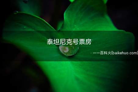 泰坦尼克号票房