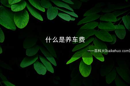 什么是养车费