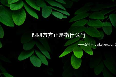 四四方方正是指什么肖