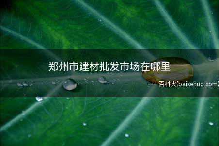 郑州市建材批发市场在哪里