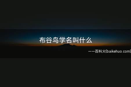 布谷鸟学名叫什么