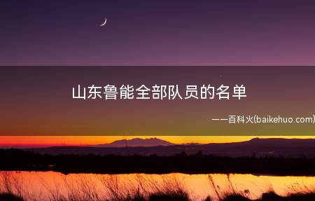 山东鲁能全部队员的名单