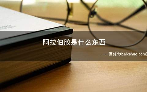 阿拉伯胶是什么东西