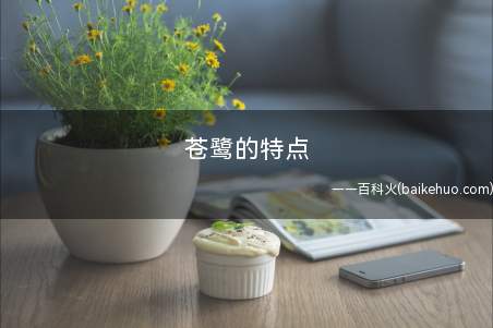 苍鹭的特点