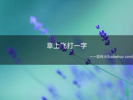 草上飞打一字