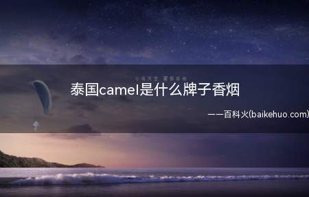 泰国camel是什么牌子香烟
