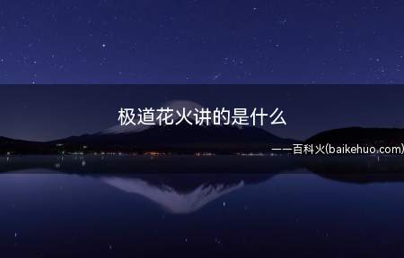 极道花火讲的是什么