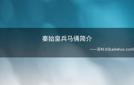 秦始皇兵马俑简介