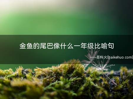 金鱼的尾巴像什么一年级比喻句