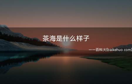 茶海是什么样子