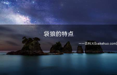 袋狼的特点