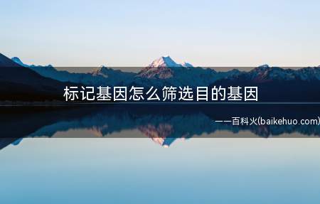 标记基因怎么筛选目的基因