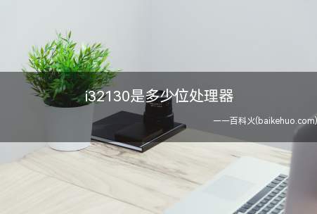 i32130是多少位处理器