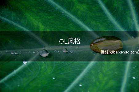 OL风格是什么意思