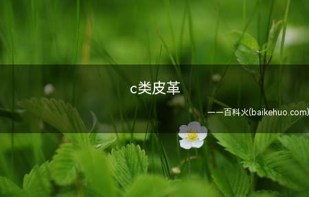 c类皮革是什么意思