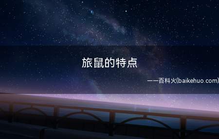 旅鼠的特点