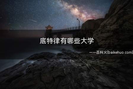 底特律有哪些大学