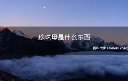 珍珠母是什么东西
