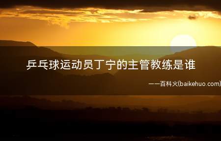 乒乓球运动员丁宁的主管教练是谁