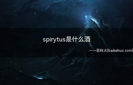 spirytus是什么酒