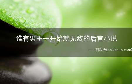 谁有男主一开始就无敌的后宫小说