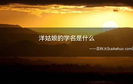 洋姑娘的学名是什么