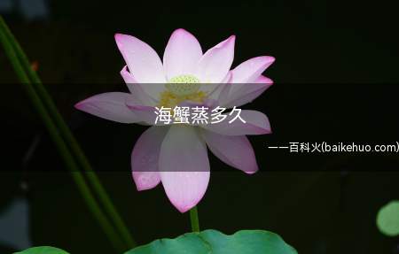 海蟹蒸多久